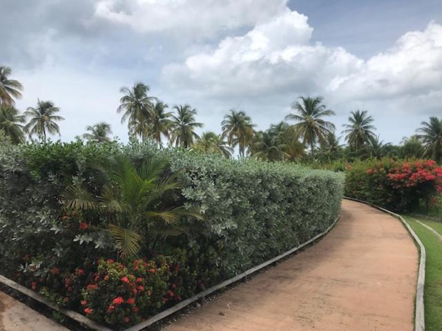 Bonheur A La Residence Savane Le Gosier  Exterior foto